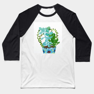 Indian Pot with Succulents Baseball T-Shirt